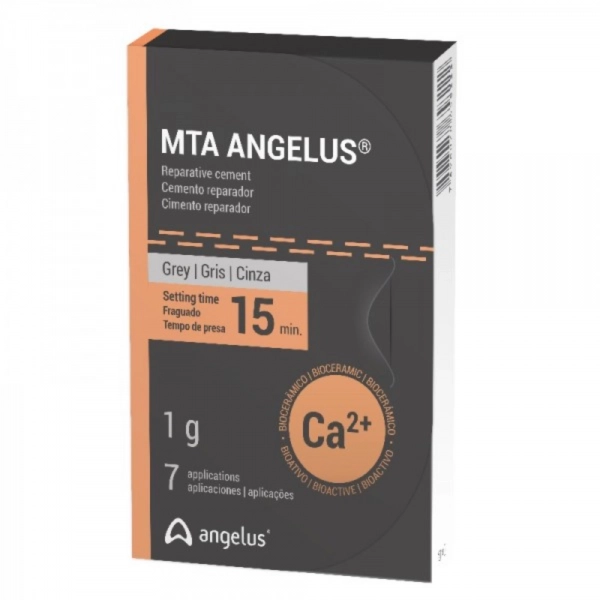 CEMENTO REPARADOR MTA ANGELUS